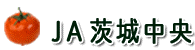 ja��钆��